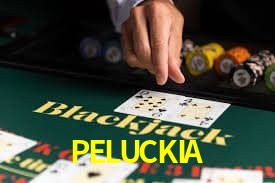 PELUCKIA Protege tu cuenta con autenticación en dos pasos en PELUCKIA